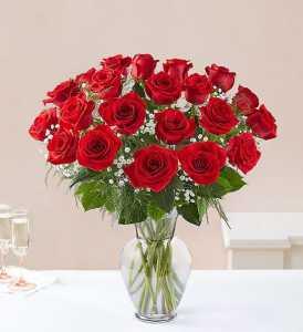 Ultimate Elegance Premium Long Stem