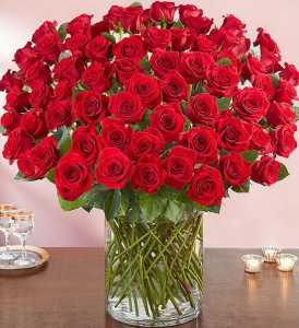 100 Premium Long Stem Red Roses – Sandy Run Sndwich Shop And Florist Llc, Gaston SC