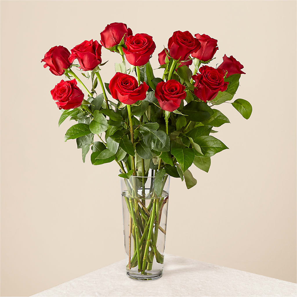 Long Stem Red Rose Bouquet – Sandy Run Sndwich Shop And Florist Llc, Gaston SC