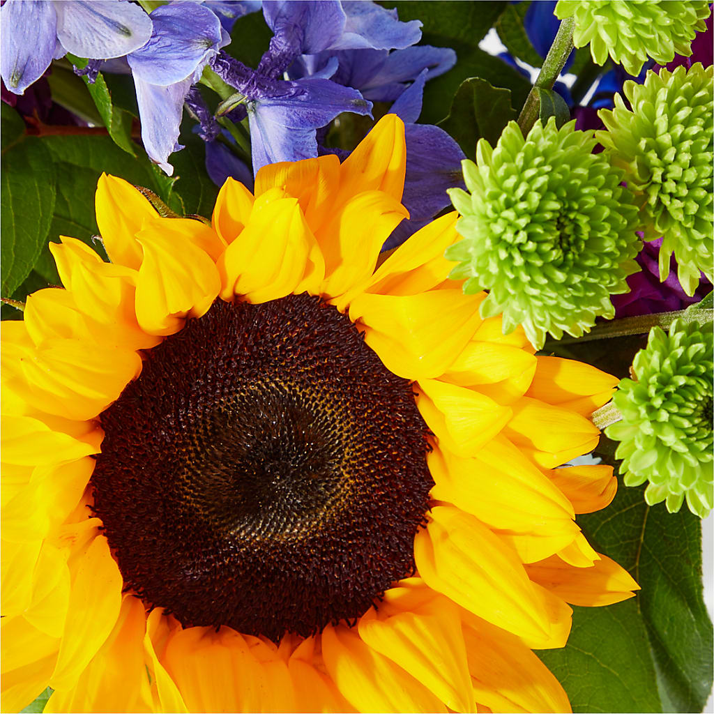 Catching Rays Bouquet – Sandy Run Sndwich Shop And Florist Llc, Gaston SC