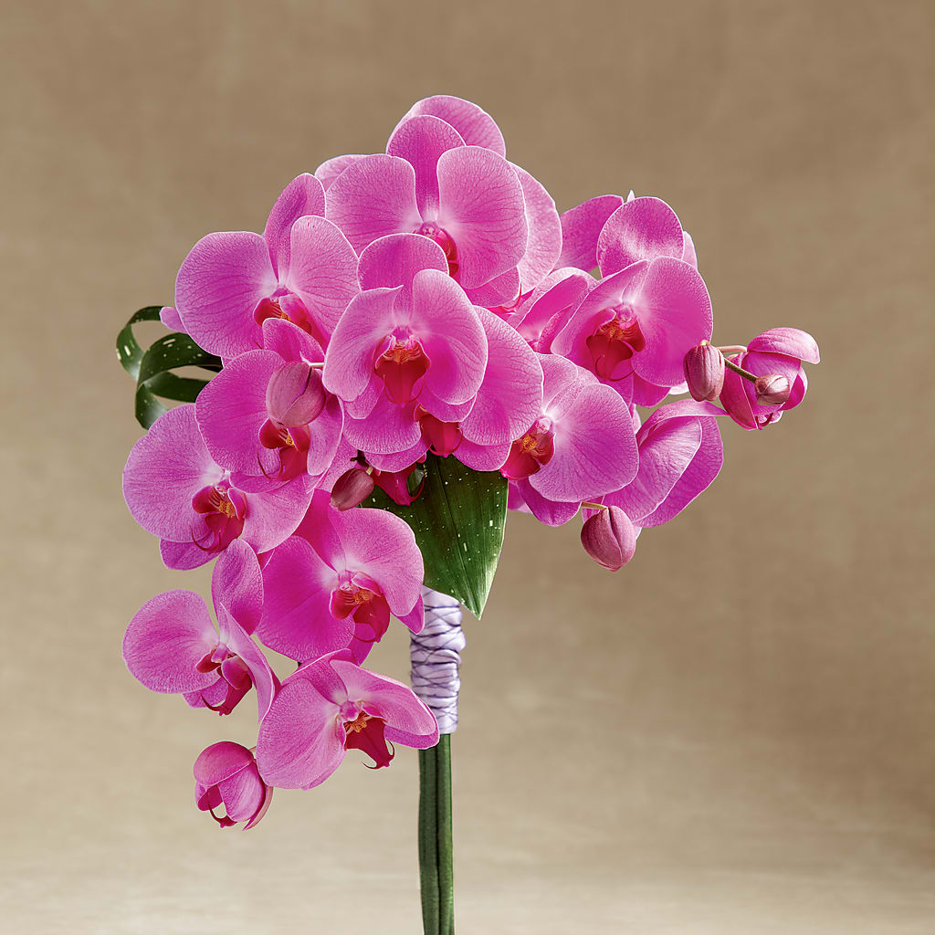 Glorious Bouquet – Sandy Run Sndwich Shop And Florist Llc, Gaston SC