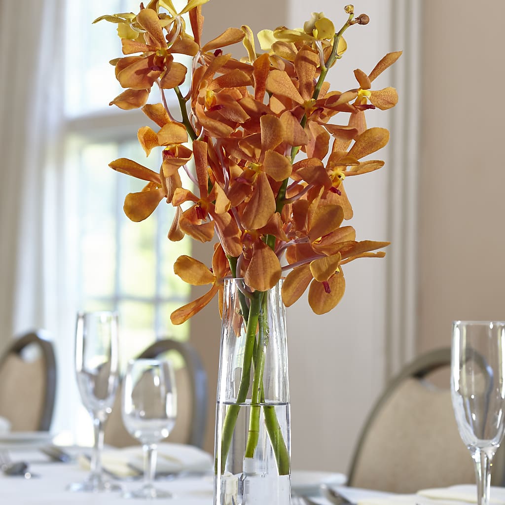 Orange Mokara Bud Vase – Sandy Run Sndwich Shop And Florist Llc, Gaston SC