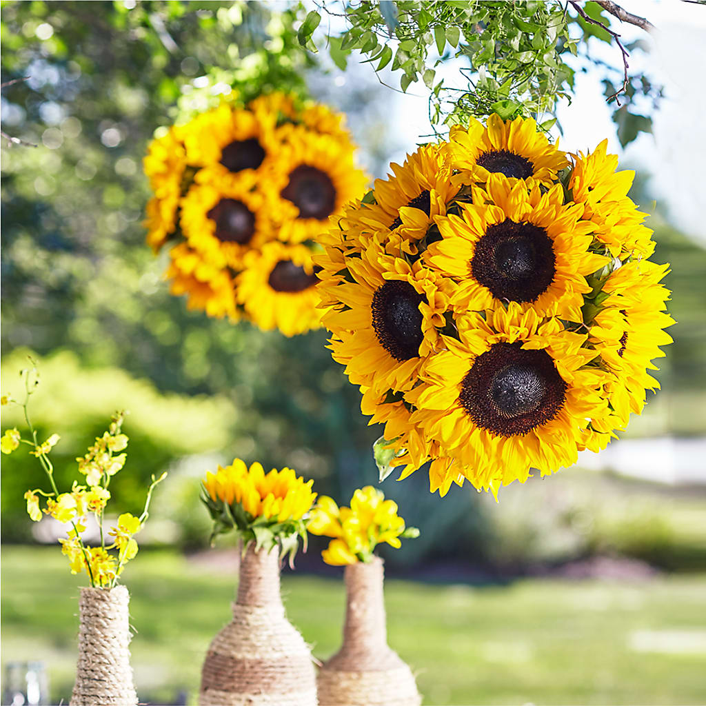 Sublime Garden Hanging Arrangement – Sandy Run Sndwich Shop And Florist Llc, Gaston SC