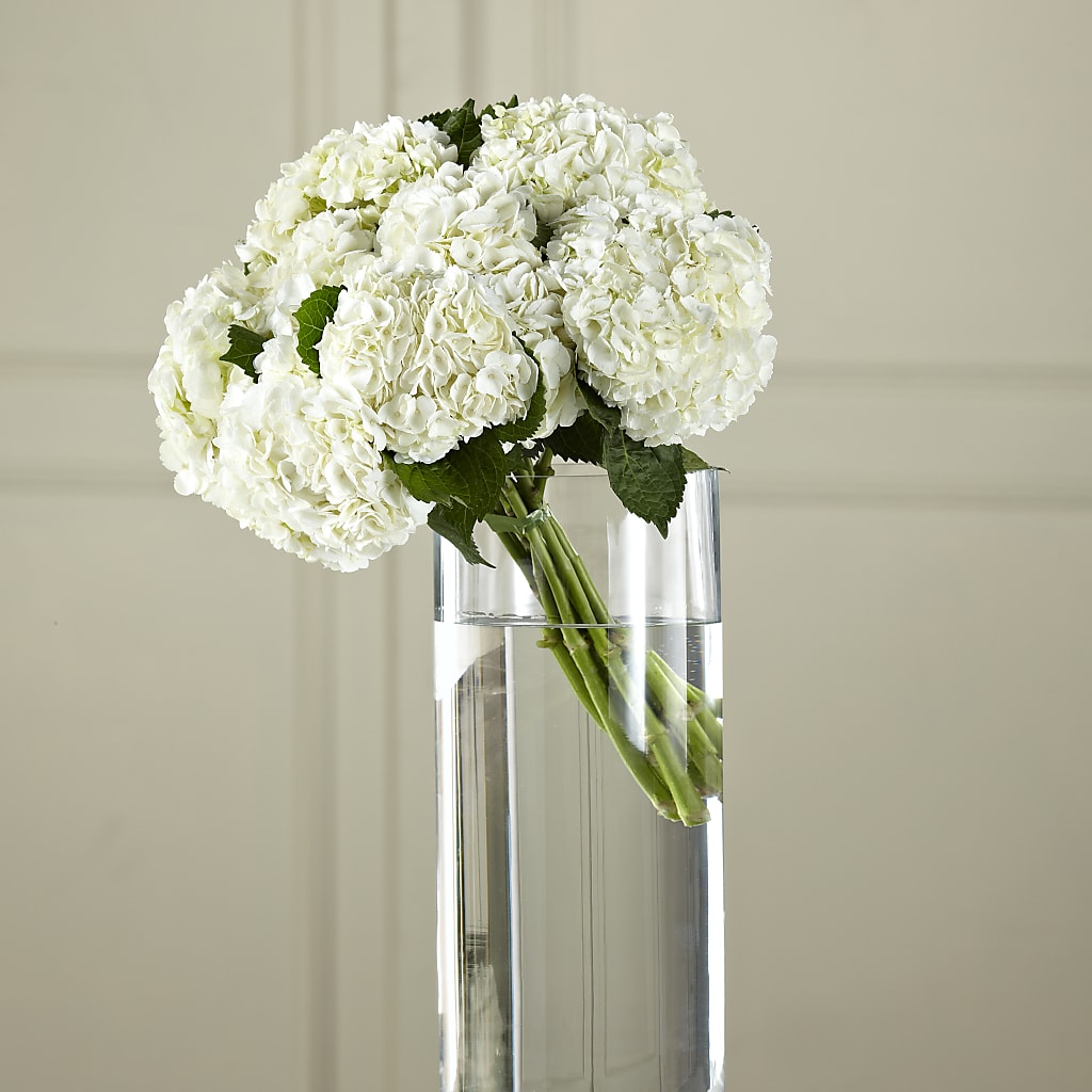White Hydrangea Hand-Tied Bouquet – Sandy Run Sndwich Shop And Florist Llc, Gaston SC