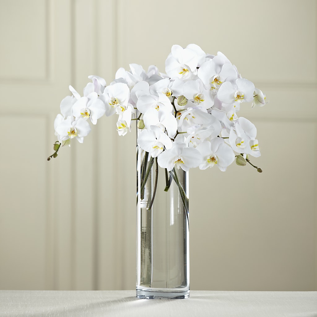 White Phalaenopsis Bouquet – Sandy Run Sndwich Shop And Florist Llc, Gaston SC