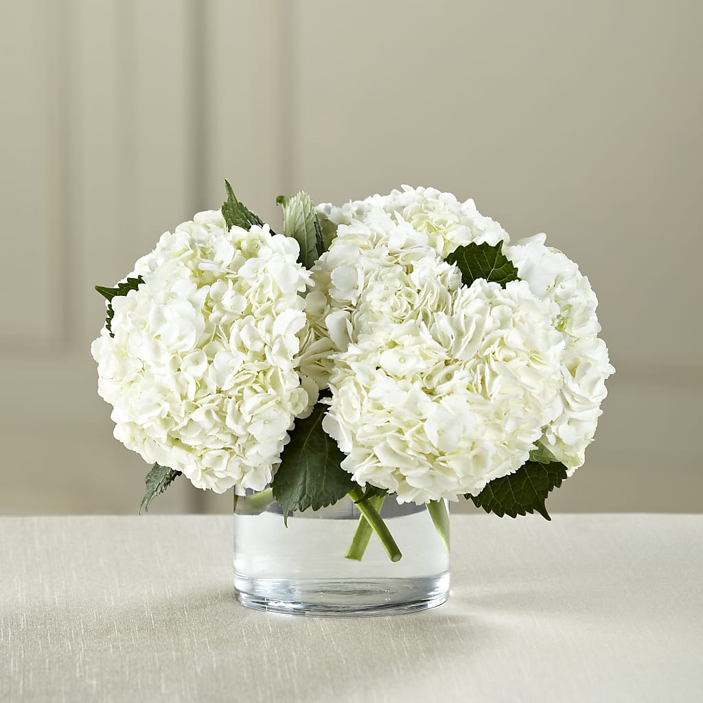 White Hydrangea Bouquet – Sandy Run Sndwich Shop And Florist Llc, Gaston SC