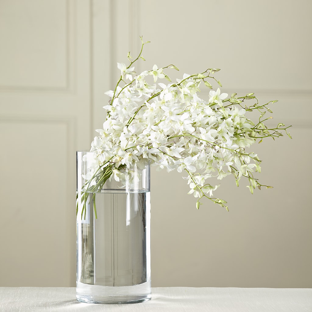 White Dendrobium Bouquet – Sandy Run Sndwich Shop And Florist Llc, Gaston SC