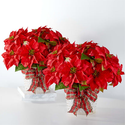 Happiest Holidays Poinsettia Bundle –  Sandy Run Sndwich Shop And Florist Llc, Gaston SC