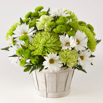 Lucky Charm Basket (Standard) –  Sandy Run Sndwich Shop And Florist Llc, Gaston SC