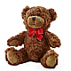 Adorable Plush Bear –  Sandy Run Sndwich Shop And Florist Llc, Gaston SC