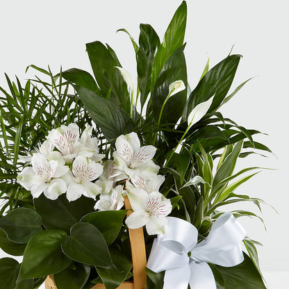 Peace & Serenity Dishgarden –  Sandy Run Sndwich Shop And Florist Llc, Gaston SC