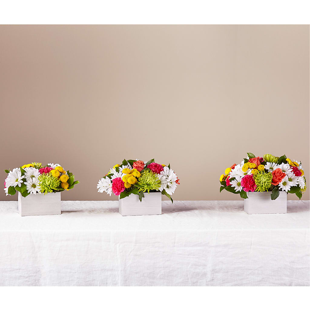 Sorbet Bouquet –  Sandy Run Sndwich Shop And Florist Llc, Gaston SC
