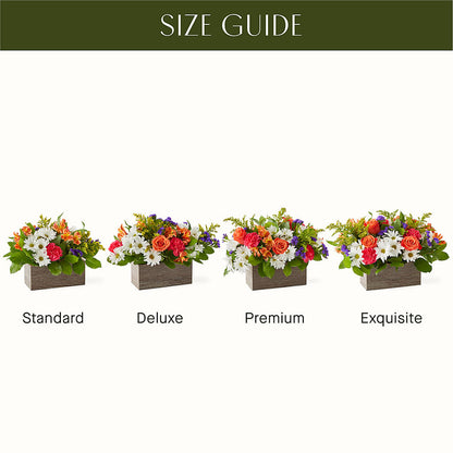 Oopsie Daisy Box Bouquet –  Sandy Run Sndwich Shop And Florist Llc, Gaston SC
