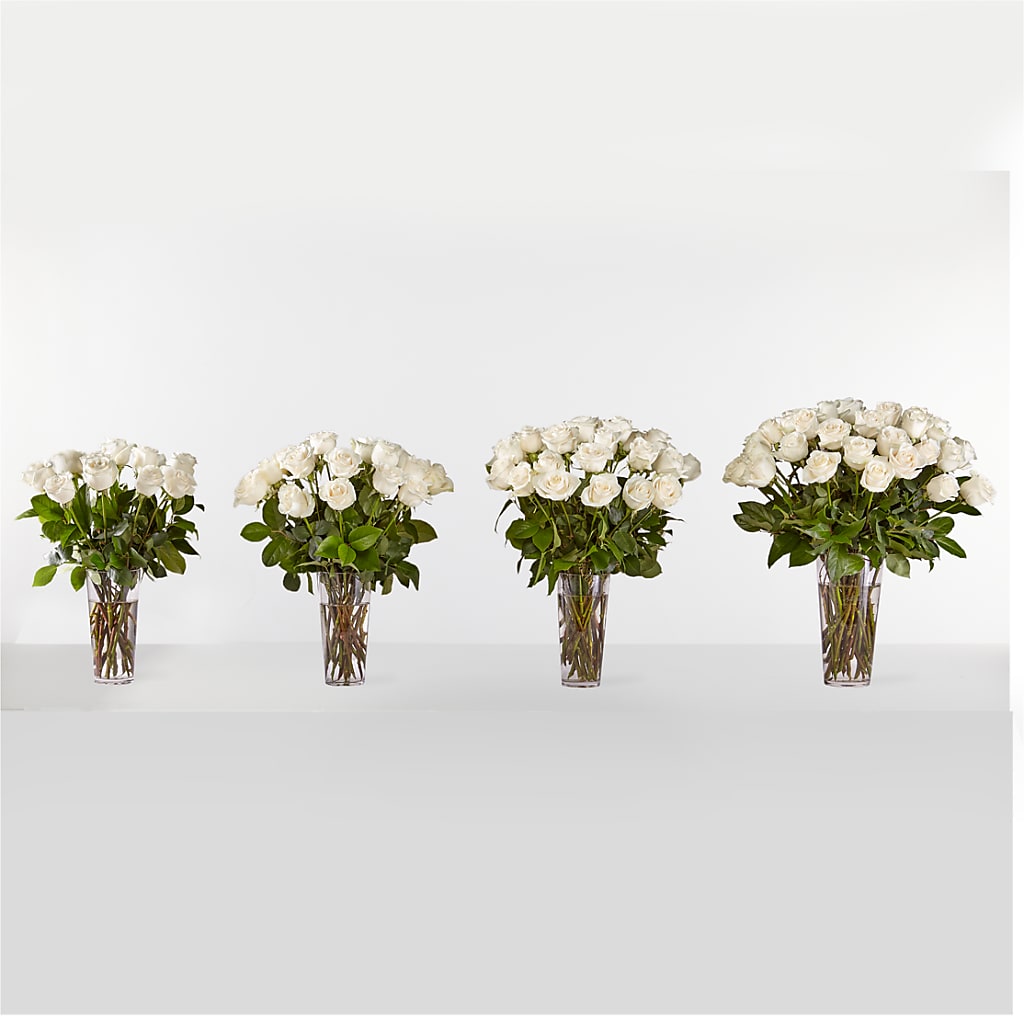 Long Stem White Rose Bouquet –  Sandy Run Sndwich Shop And Florist Llc, Gaston SC