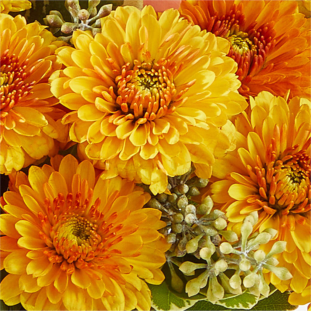 Peachy Pumpkin –  Sandy Run Sndwich Shop And Florist Llc, Gaston SC