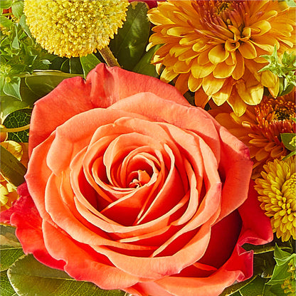 Gourdgeous Pumpkin –  Sandy Run Sndwich Shop And Florist Llc, Gaston SC