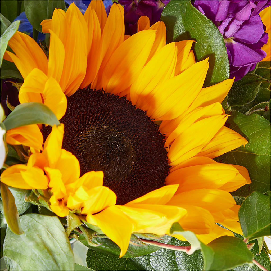 Catching Rays Bouquet –  Sandy Run Sndwich Shop And Florist Llc, Gaston SC