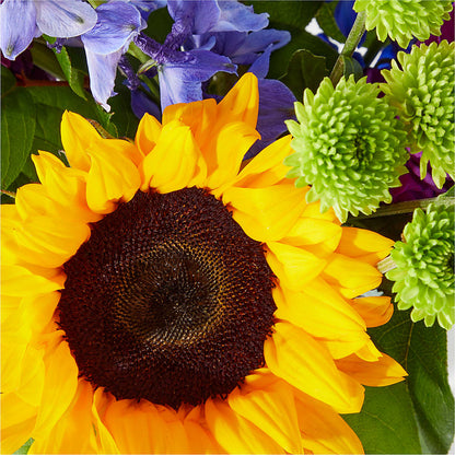 Catching Rays Bouquet –  Sandy Run Sndwich Shop And Florist Llc, Gaston SC