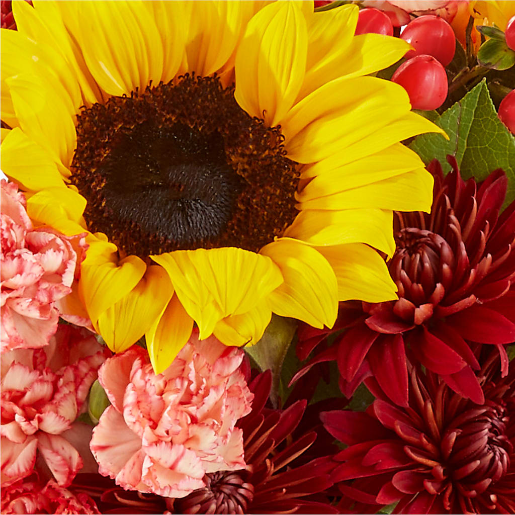 Fresh Cider Bouquet –  Sandy Run Sndwich Shop And Florist Llc, Gaston SC