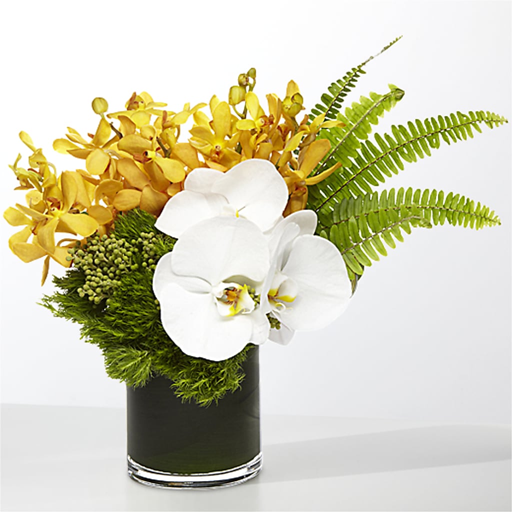 The Tropics –  Sandy Run Sndwich Shop And Florist Llc, Gaston SC