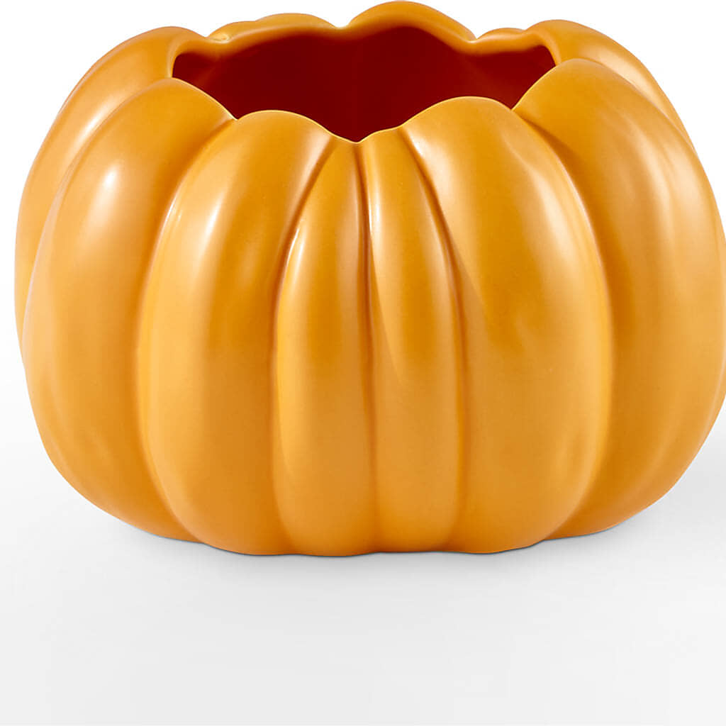 Golden Gourd Pumpkin Bouquet –  Sandy Run Sndwich Shop And Florist Llc, Gaston SC