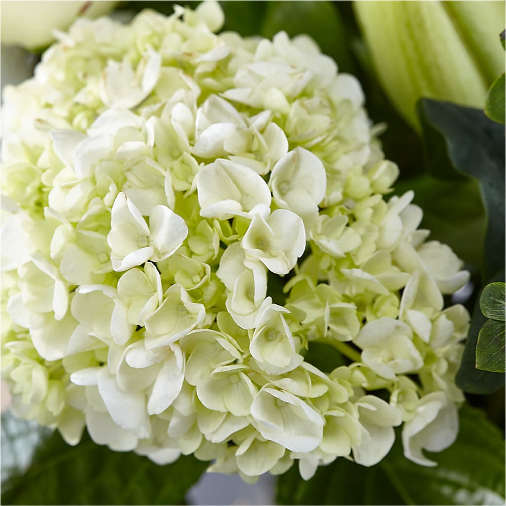 Classic Ivory – A Florist Original –  Sandy Run Sndwich Shop And Florist Llc, Gaston SC