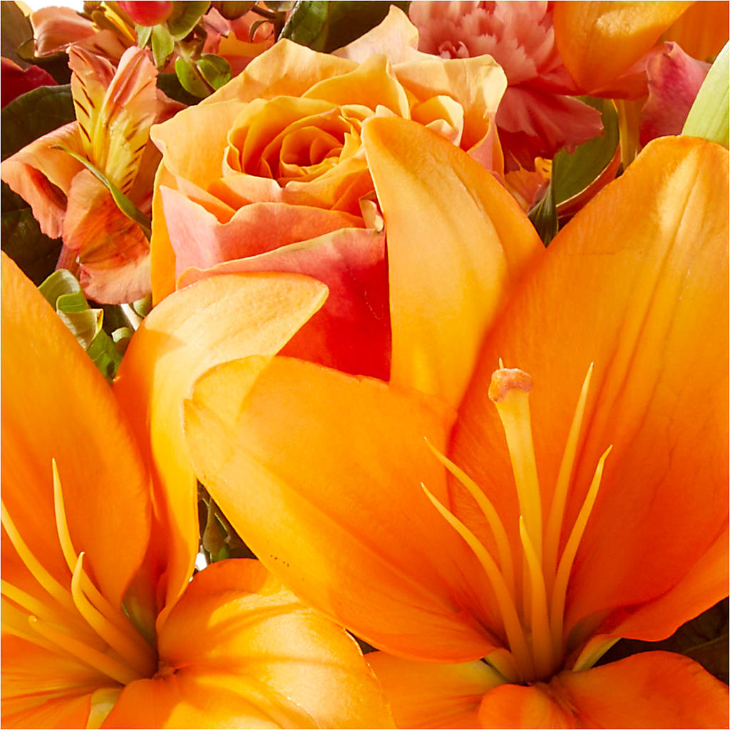 Afternoon Light Bouquet –  Sandy Run Sndwich Shop And Florist Llc, Gaston SC