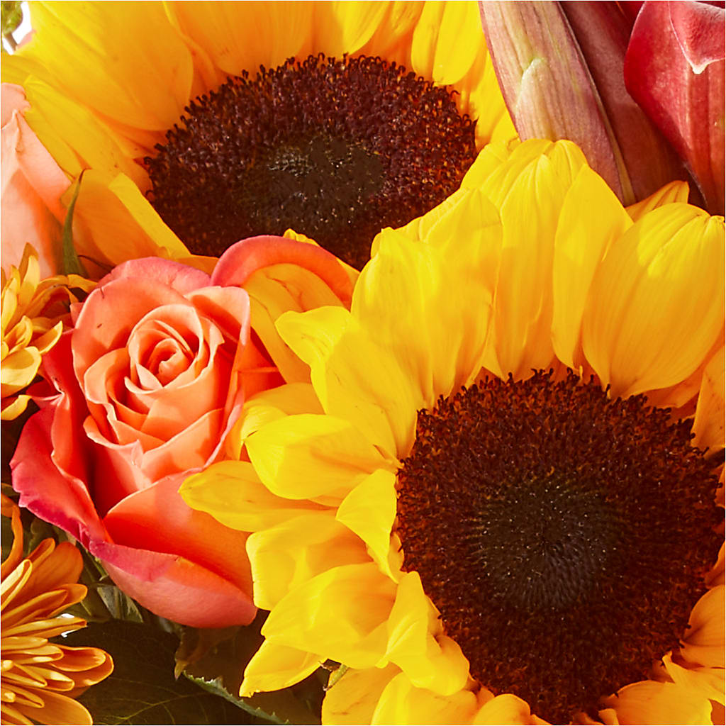 Acorn Lane Bouquet –  Sandy Run Sndwich Shop And Florist Llc, Gaston SC