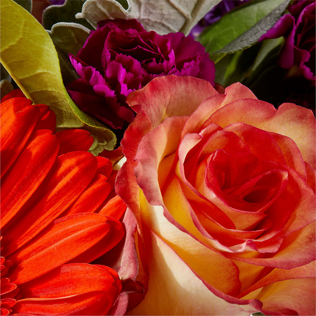Sangria Bouquet –  Sandy Run Sndwich Shop And Florist Llc, Gaston SC
