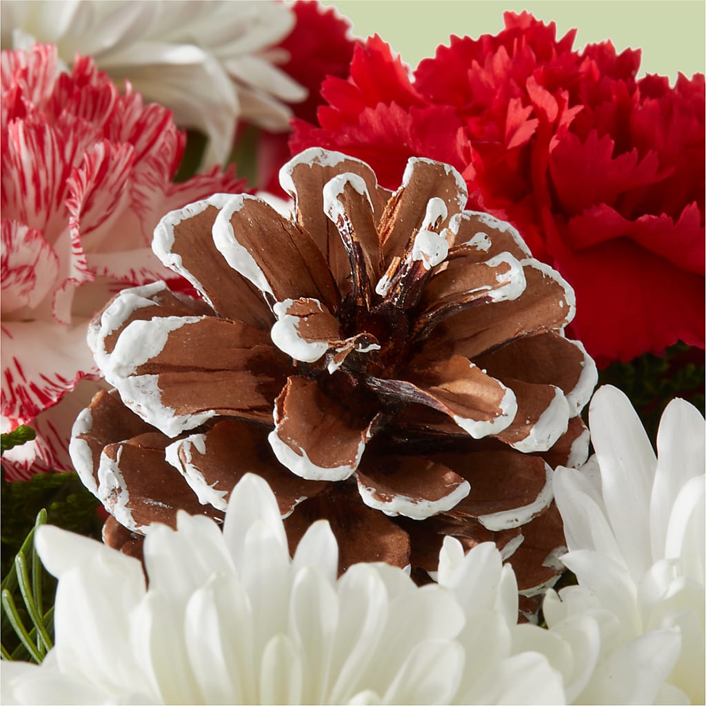 Candy Cane Lane Bouquet –  Sandy Run Sndwich Shop And Florist Llc, Gaston SC