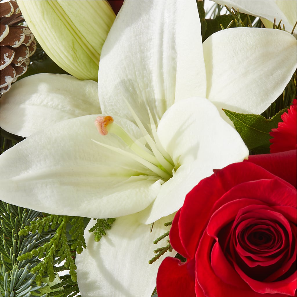Oh So Jolly Bouquet –  Sandy Run Sndwich Shop And Florist Llc, Gaston SC