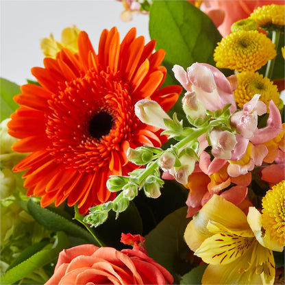 Autumn Sunshine Bouquet –  Sandy Run Sndwich Shop And Florist Llc, Gaston SC