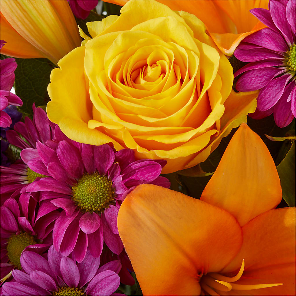 Colorful Visions Bouquet –  Sandy Run Sndwich Shop And Florist Llc, Gaston SC