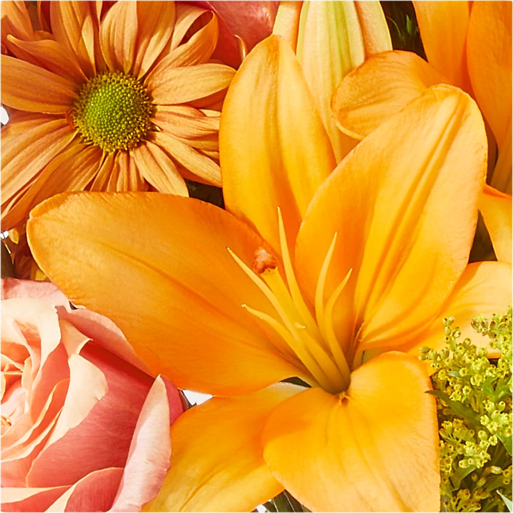 Harvest Hayride Bouquet –  Sandy Run Sndwich Shop And Florist Llc, Gaston SC