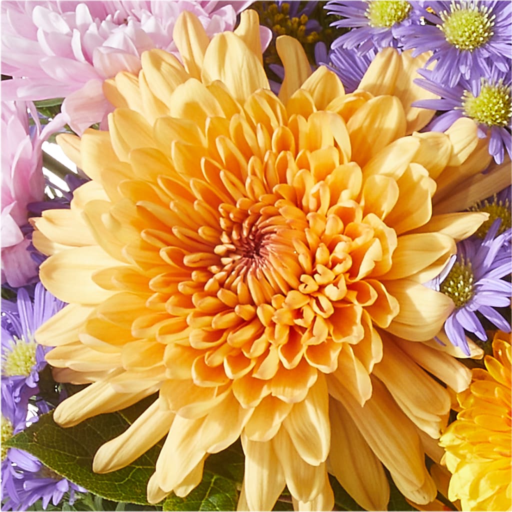 Countryside Bouquet –  Sandy Run Sndwich Shop And Florist Llc, Gaston SC