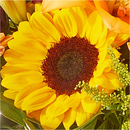 Seasons Change Bouquet –  Sandy Run Sndwich Shop And Florist Llc, Gaston SC