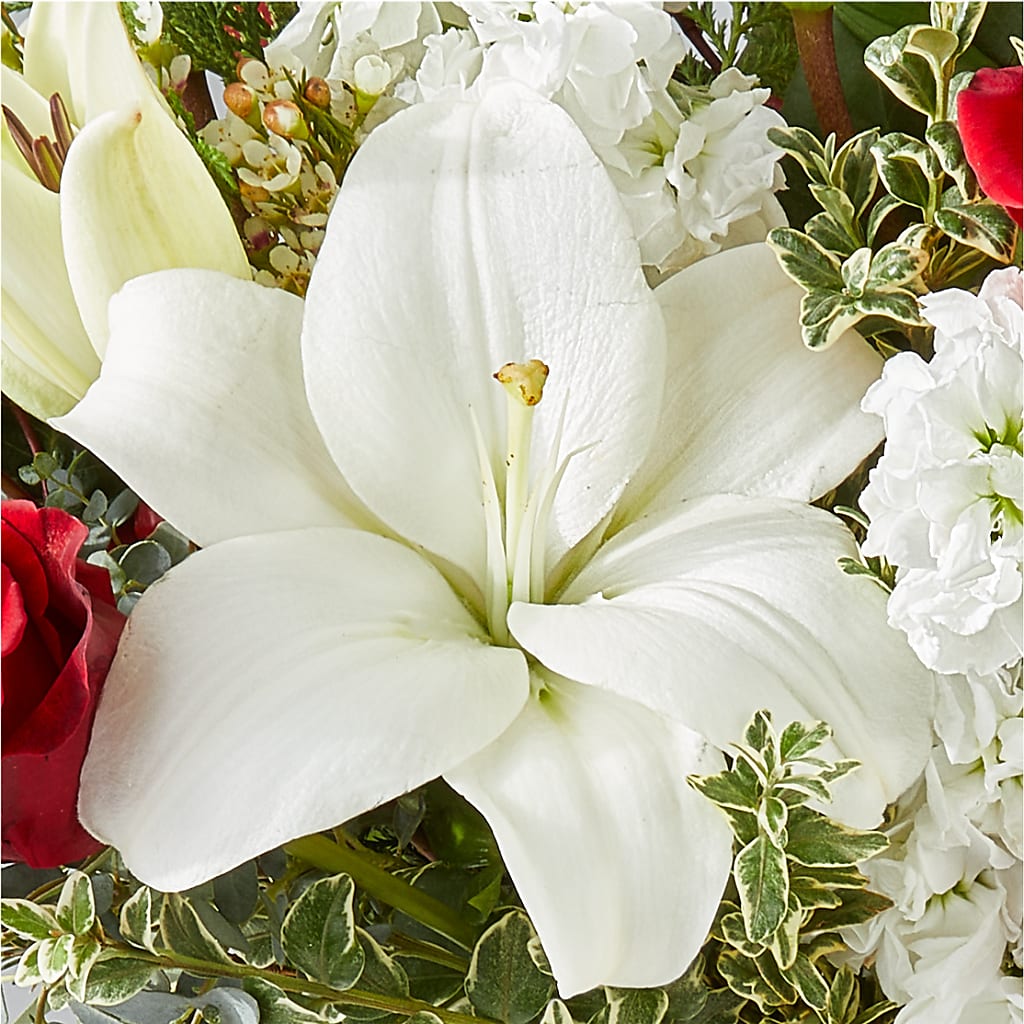 Twinkle Lights Bouquet –  Sandy Run Sndwich Shop And Florist Llc, Gaston SC