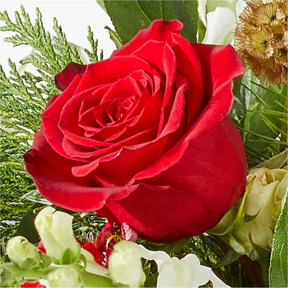 Deck the Halls Bouquet –  Sandy Run Sndwich Shop And Florist Llc, Gaston SC