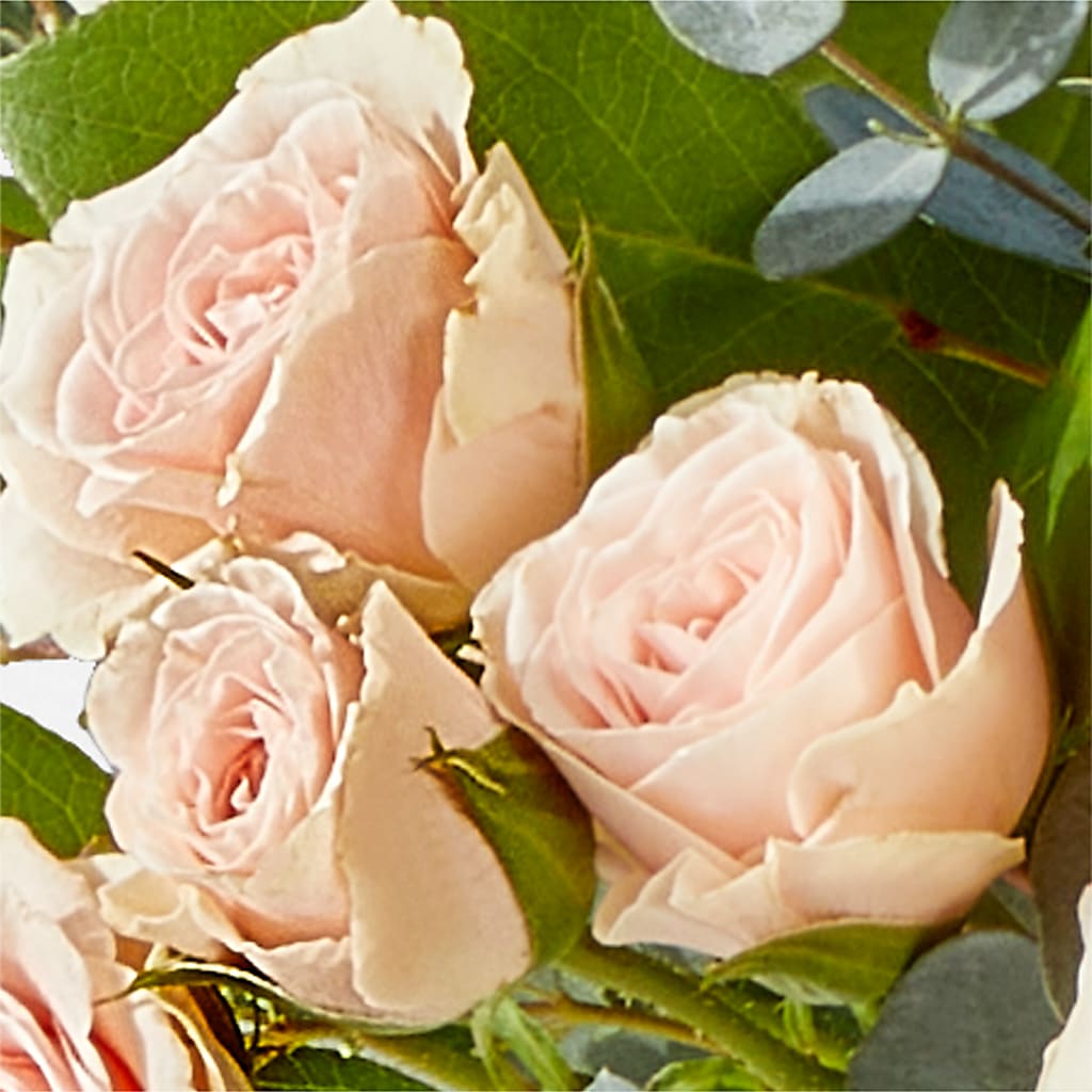 Inspired Bouquet –  Sandy Run Sndwich Shop And Florist Llc, Gaston SC
