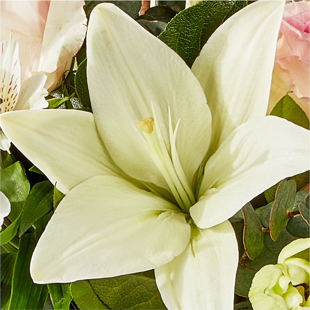 Ballet Slippers Bouquet –  Sandy Run Sndwich Shop And Florist Llc, Gaston SC