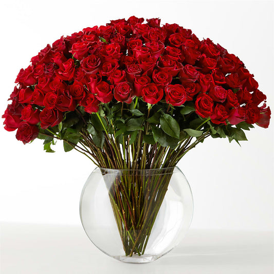 The Idealist –  Sandy Run Sndwich Shop And Florist Llc, Gaston SC