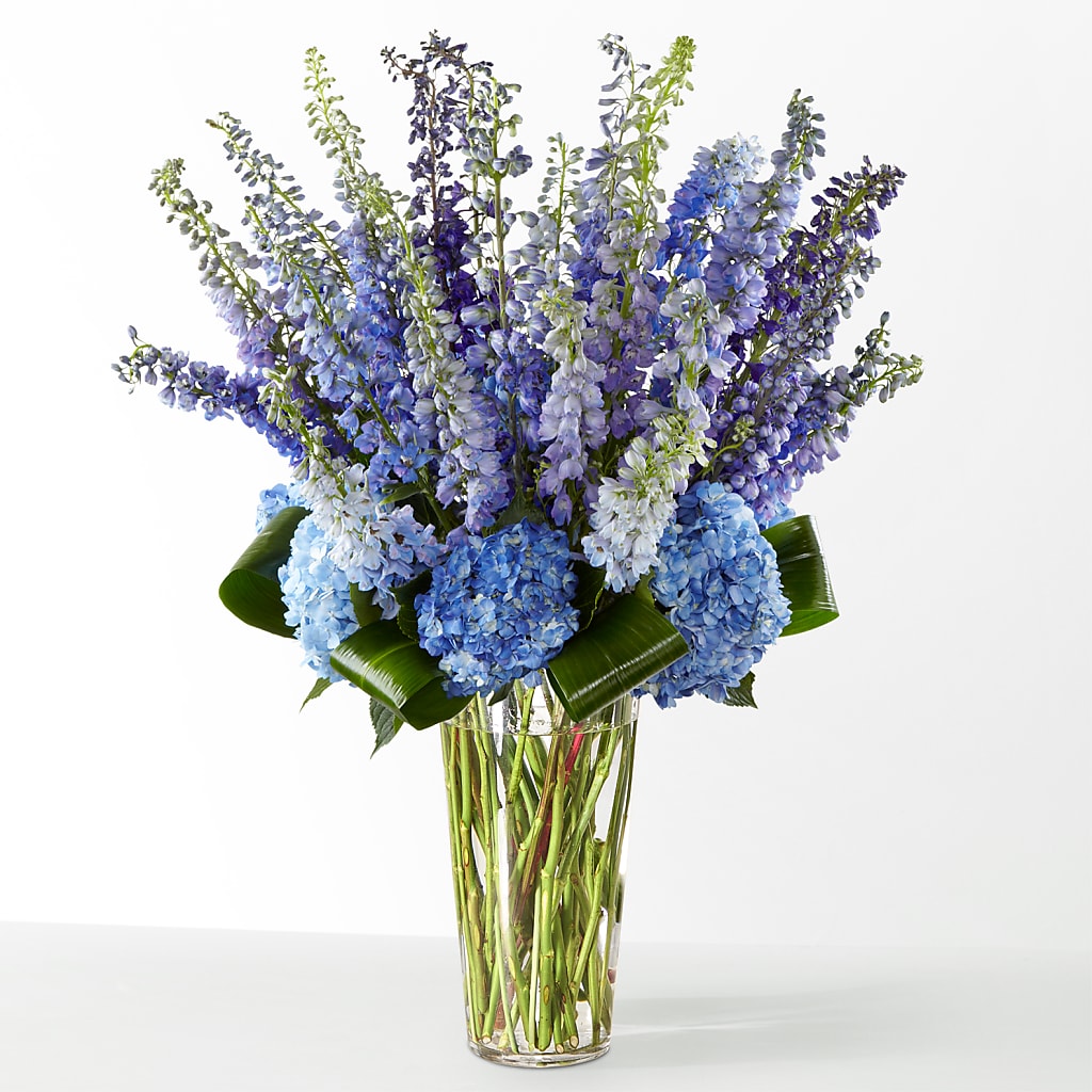 The Editorial –  Sandy Run Sndwich Shop And Florist Llc, Gaston SC