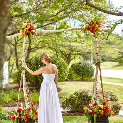 Arbor of Love Archway –  Sandy Run Sndwich Shop And Florist Llc, Gaston SC