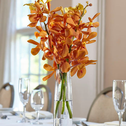 Orange Mokara Bud Vase –  Sandy Run Sndwich Shop And Florist Llc, Gaston SC