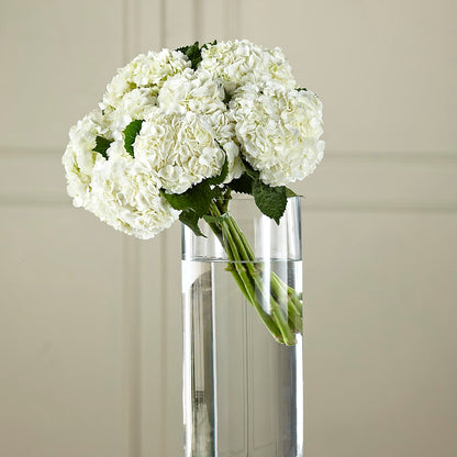 White Hydrangea Hand-Tied Bouquet –  Sandy Run Sndwich Shop And Florist Llc, Gaston SC