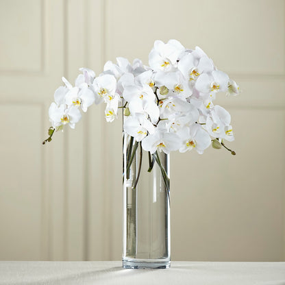 White Phalaenopsis Bouquet –  Sandy Run Sndwich Shop And Florist Llc, Gaston SC