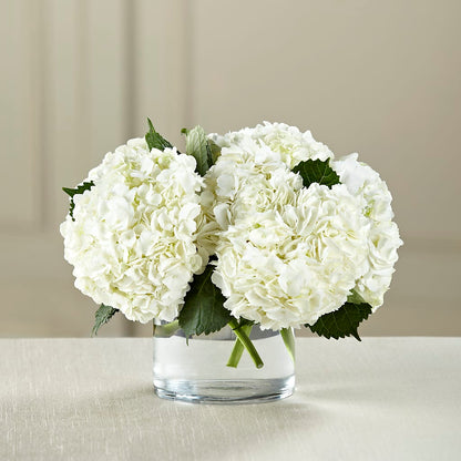 White Hydrangea Bouquet –  Sandy Run Sndwich Shop And Florist Llc, Gaston SC